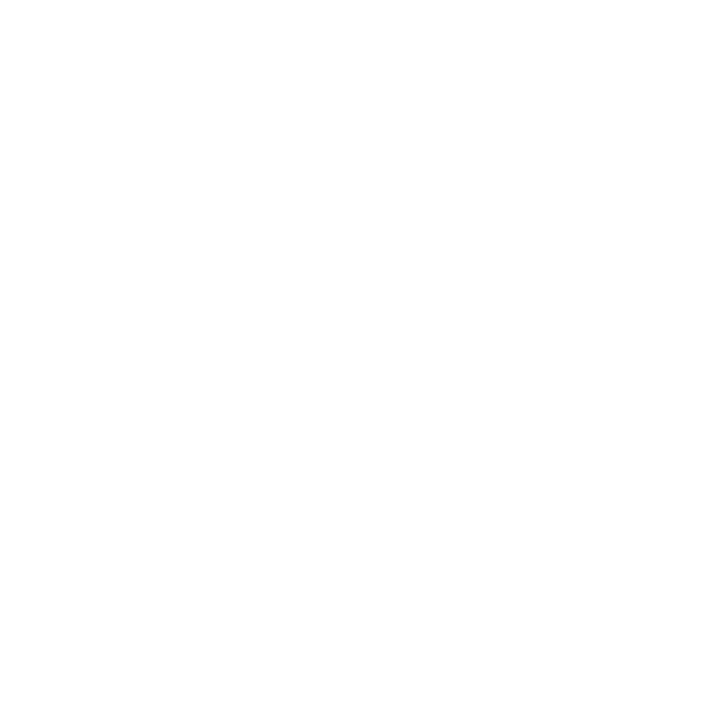 مشتری 4